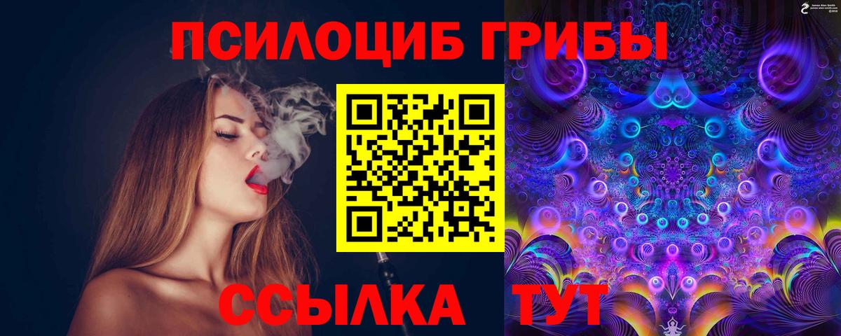 Псилоцибиновые грибы мицелий  Вход с VPN  Чайковский 